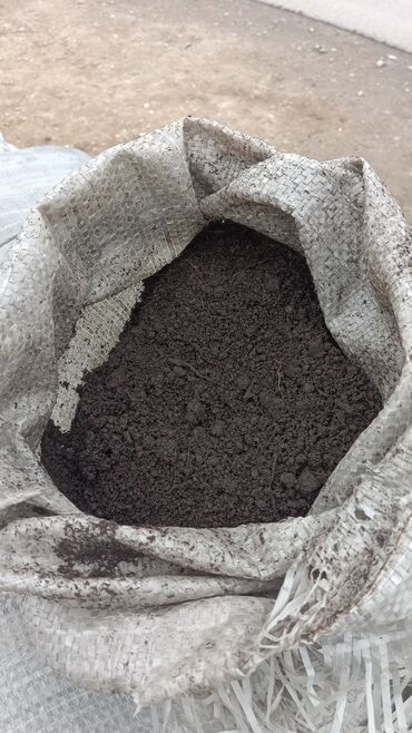Torf: Torf gubresinn satişi torf balaken 2.50 300den cox alana catrlma -da lalafo.az — 13 Torf: Torf gubresinn satişi torf balaken 2.50 300den cox alana catrlma — 13