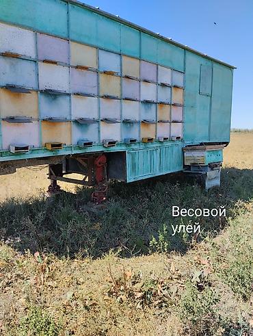 Товары и оборудование для с/х животных: Продаю: Пчеловагон ( цех по производству меда) на 72 семьи (полная — 2