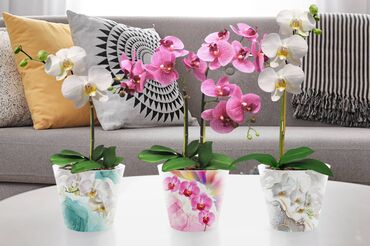 сжатый воздух: Горшок для цветов с дренажной вставкой InGreen коллекция London Orchid