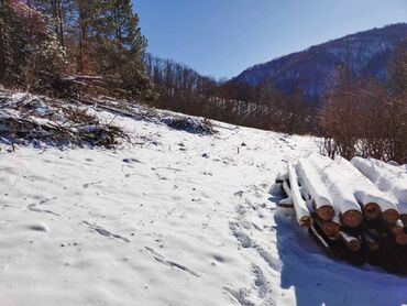 Prodaja zemljišta: 130 ares, Vlasnik — 6