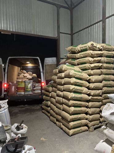 кофе зерновое: Семена и саженцы Бесплатная доставка