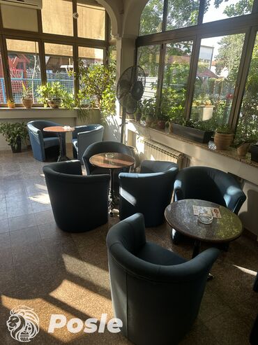 Usluge u domaćinstvu: Profesionalno dubinsko čišćenje i pranje tapaciranog nameštaja - — 7