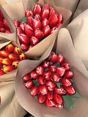 Букеты из живых цветов: 🌷 Тюльпаны оптом и в розницу!🌷 Свежие, хрустящие, плотные бутоны 🌿 at lalafo.kg — 1 Букеты из живых цветов: 🌷 Тюльпаны оптом и в розницу!🌷 Свежие, хрустящие, плотные бутоны 🌿 — 1