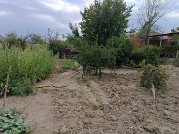 Həyət evləri və villaların satışı: 4 otaqlı, 144 kv. m, Kredit var, Orta təmir -da lalafo.az — 15 Həyət evləri və villaların satışı: 4 otaqlı, 144 kv. m, Kredit var, Orta təmir — 15