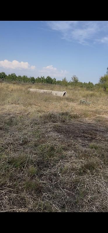 земли бишкек: 250 соток, Для бизнеса, Договор купли-продажи — 9