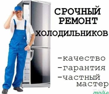 морозильная камера для мяса: Ремонт холодильник и морозильник любой сложности выезд на дом