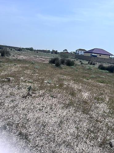 tecili satilan ucuz evler 2025: 4 sot, Kənd təsərrüfatı, Barter mümkündür, Kupça (Çıxarış) — 7