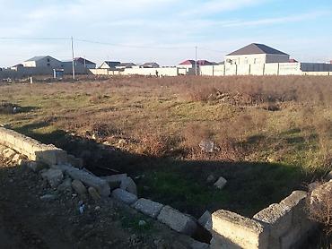 ramanıda: 10 sot, Kənd təsərrüfatı, Mülkiyyətçi, Kupça (Çıxarış) — 2