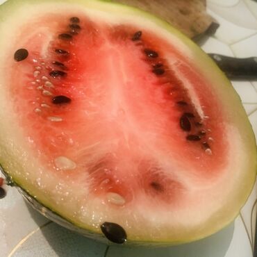 масло сыр база бишкек график работы: Арбузы Самовывоз, Платная доставка