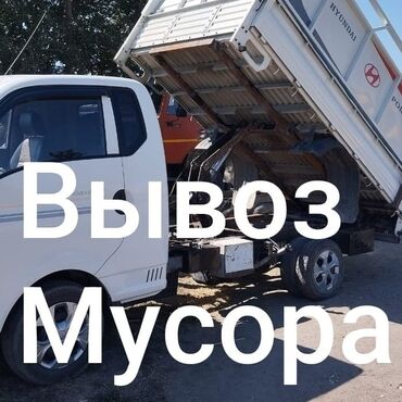 кролик цена: Вывоз мусора вывоз мусора вывоз мусора вывоз мусора вывоз мусора вывоз