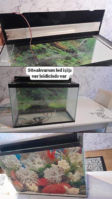 pul kasasi: - Ağ rəngli dekorativ komod-güzgü dəsti. Üst panel genişdir, arxa — 3