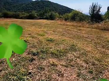 zaqatalada hovuzlu kiraye evler: 5 sot, Tikinti, Mülkiyyətçi — 5