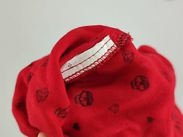 taylor wright shirts: Young Fashion, Koszula damska, rozmiar L — 4