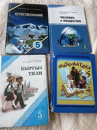 5 серии: Набор школьных учебников для 5 класса (КР) Состав комплекта: - — 3