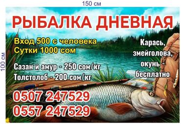 купить червей для рыбалки: Рыбалка сокулук