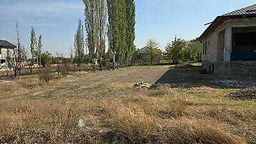 2 8: 5 соток, Красная книга, Договор купли-продажи — 3