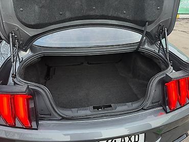 Ford: Ford Mustang: 2022 г., 2.3 л, Автомат, Бензин, Купе — 12