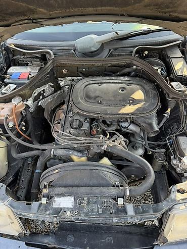 сешка зеленый: Mercedes-Benz W124: 1989 г., Механика, Седан — 5