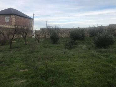 Torpaq sahələrinin satışı: 30 sot, Makler, Kupça (Çıxarış) — 8