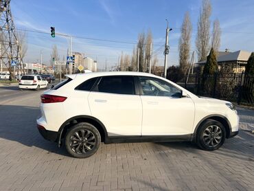 LIFAN: LIFAN : 2021 г., Электромобиль, Кроссовер — 2