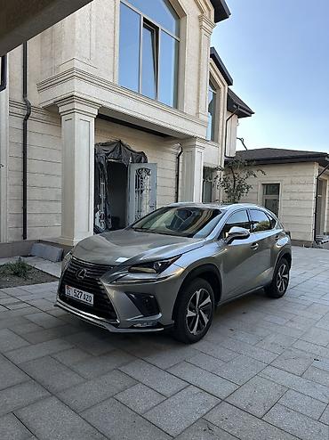 lecsus: Lexus NX: 2019 г., 2 л, Автомат, Бензин — 1