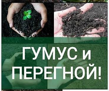 земля чернозем: В тоннах, Бесплатная доставка, Камаз — 1