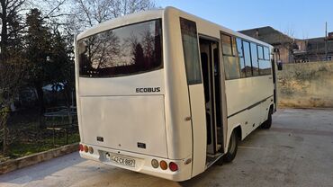 Isuzu: Isuzu midibus – Ecobus kuzov Xüsusiyyətlər: - Marka/model: Isuzu — 2