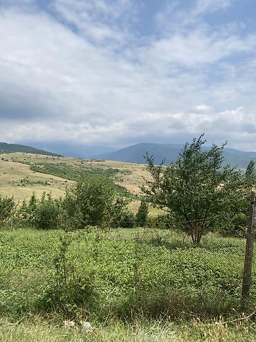 Torpaq sahələrinin satışı: 15 sot, Tikinti — 8