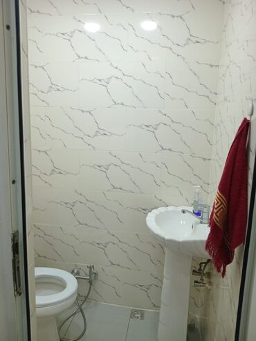 Həyət evləri və villaların satışı: Əmircan qəs. 4 otaqlı, 200 kv. m, Yeni təmirli — 18