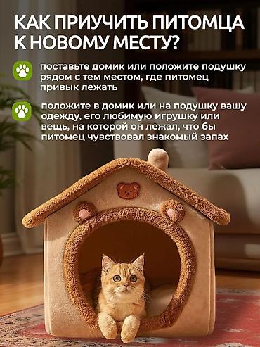 временные приюты для кошек: 🐾 Уютный мягкий домик-лежанка для кошек и маленьких собак! NEW — 10