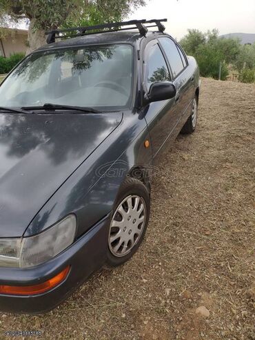 Toyota: Toyota Corolla: 1.6 l. | 1992 έ. Λιμουζίνα — 8