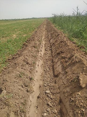 Тракторы МТЗ (Беларус): Модель: 892, Новый — 2