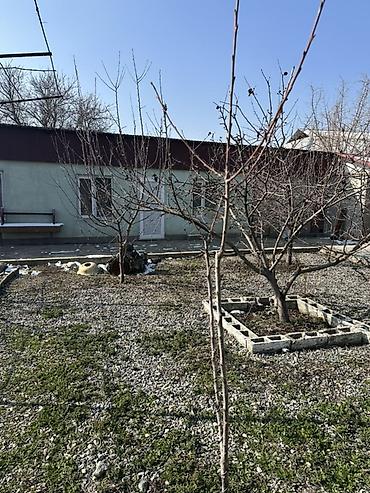 Долгосрочная аренда домов: 45 м², 3 комнаты — 11