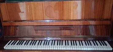 Музыкальные инструменты: Uprav pianino – şaquli model. - Korpus: parlaq cilalı təbii ağac — 6