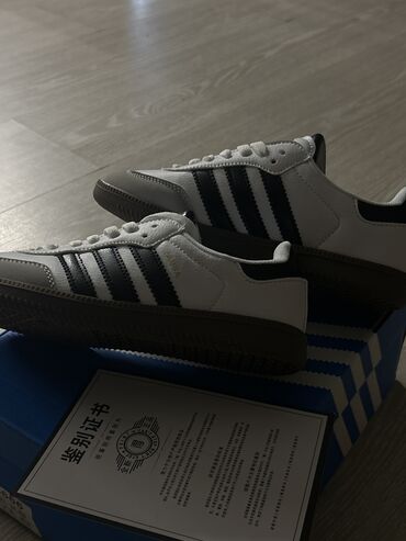 Кроссовки и спортивная обувь: Кроссовки, 37, Adidas, Новый, цвет - Белый, Самовывоз