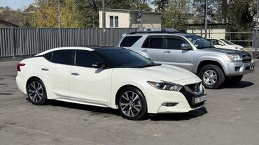 Nissan: Nissan Maxima: 2016 г., 3.5 л, Автомат, Бензин, Седан — 14
