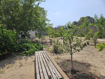 Bağ evlərinin kirayəsi: Mərdəkan, 100 kv. m, 4 otaqlı, Hovuzsuz, Kombi, Qaz, İşıq — 23