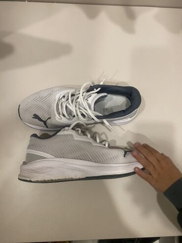беговые красовки: Эркектердин кроссовкасы, 40, Puma, Колдонулган, түсү - Боз, Өзү алып кетүү