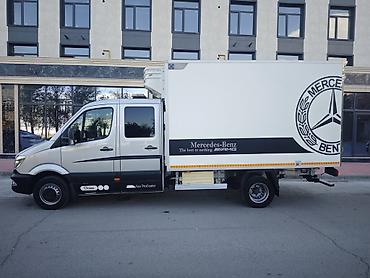 фреон 32: Легкий грузовик, Mercedes-Benz, Дубль, Б/у — 5