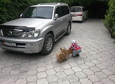 Продажа коттеджей и домов: Ахумбаева / Карла-Маркса Участок: 4,5 сотки Отопление: газовое Все — 2