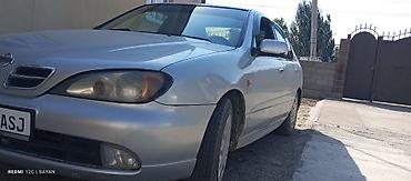 maxima j30: Nissan Primera: 1999 г., Седан — 2
