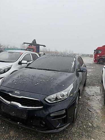 Kia: Kia K3: 2019 г., 1.6 л, Бензин, Седан — 3