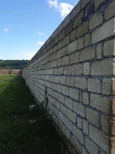 Torpaq sahələrinin satışı: 15 sot, Kənd təsərrüfatı, Mülkiyyətçi, Kupça (Çıxarış) — 29