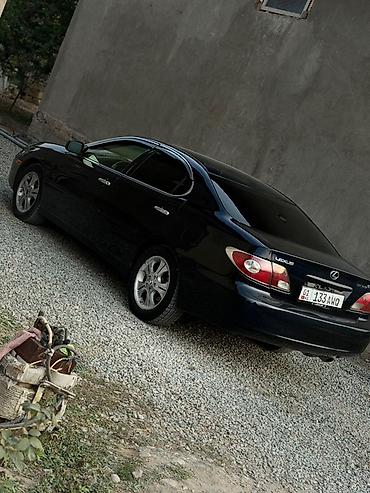 таёта эхо: Lexus ES: 2004 г., 3.3 л, Автомат, Газ, Седан — 9