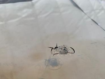 СТО, ремонт транспорта: Профессиональный ремонт лобового стекла с гарантией лучшим полимером — 3