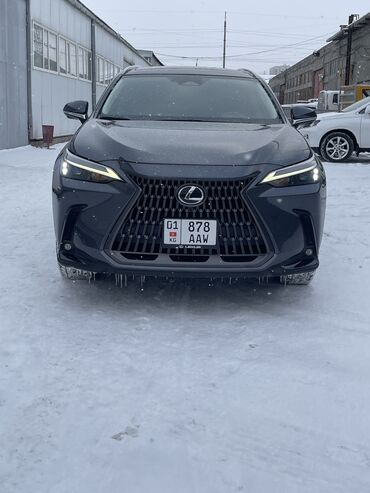 Lexus: Lexus NX: 2022 г., 2.4 л, Автомат, Бензин, Кроссовер