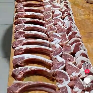 Aşpazlar: ÜnvanımCorat . Kababçıyam+ həmdə Qəssab Kimə həm Quzu kəsib Soyan həm — 5