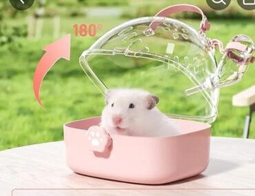 шотландская прямоухая кошка: Переноска для мелких животных, выполненная из розового и прозрачного