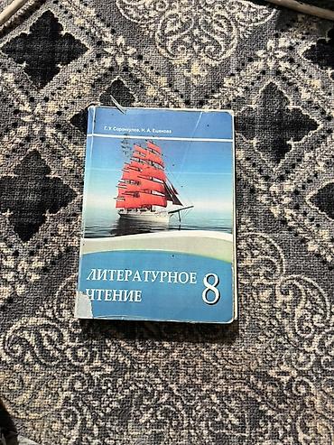 Русский язык и литература: Книги разных — 13