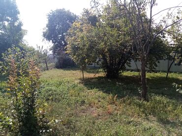 Torpaq sahələrinin satışı: 10 sot -da lalafo.az — 12 Torpaq sahələrinin satışı: 10 sot — 12